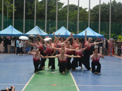 离退处党委组织老同志参加我校“民族团结心连心 欢歌前行向未来”三月三主题活动